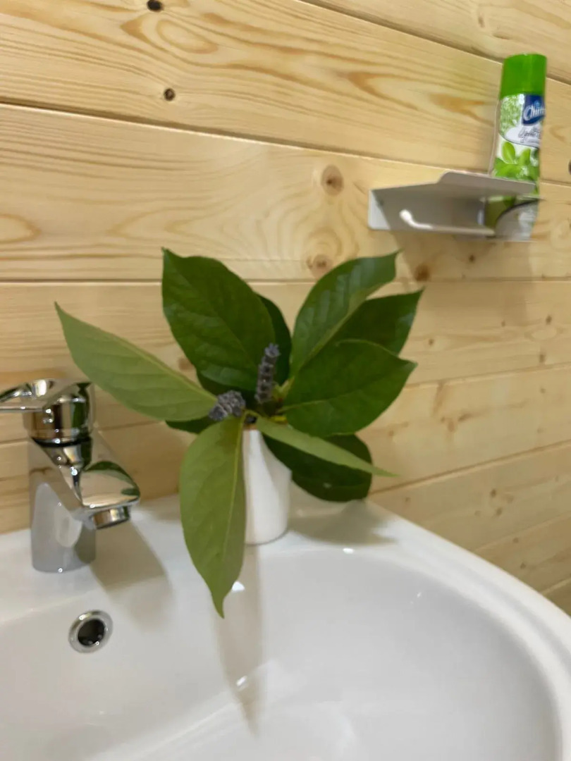 База отдыха Bora Bora