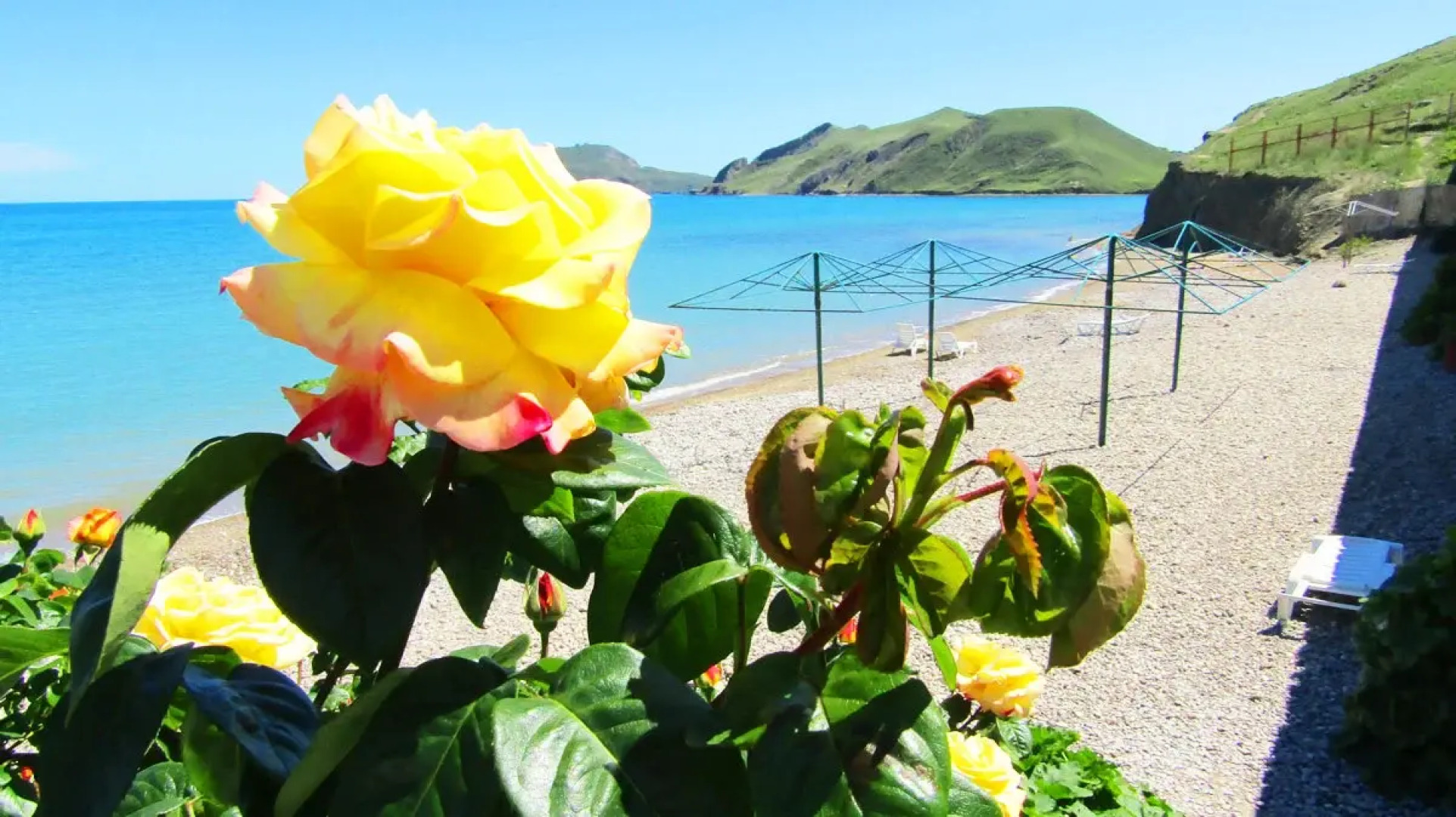 Мини-Отель Катран 13/3