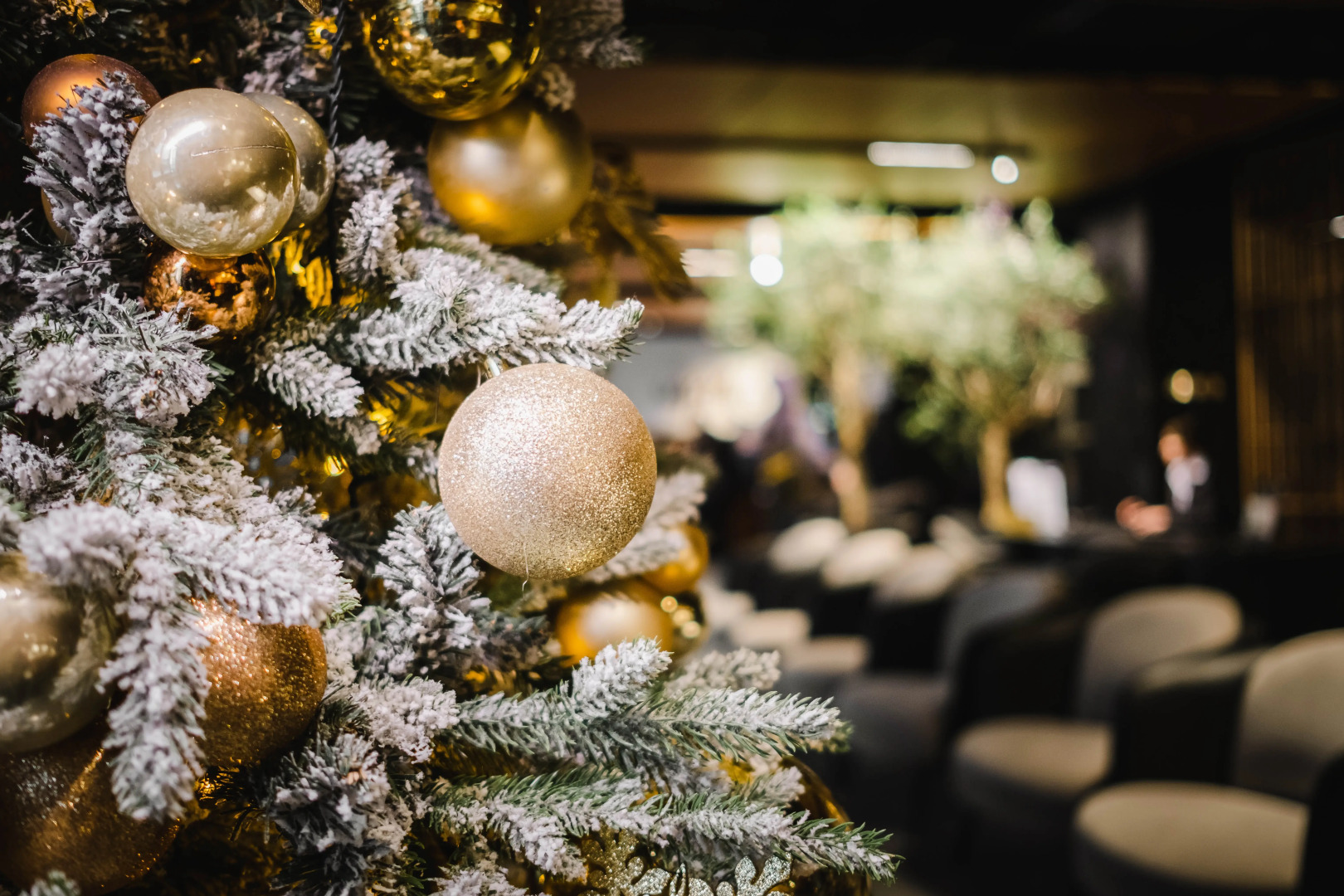 Отель Mercure Hotel and Residences Saint Petersburg