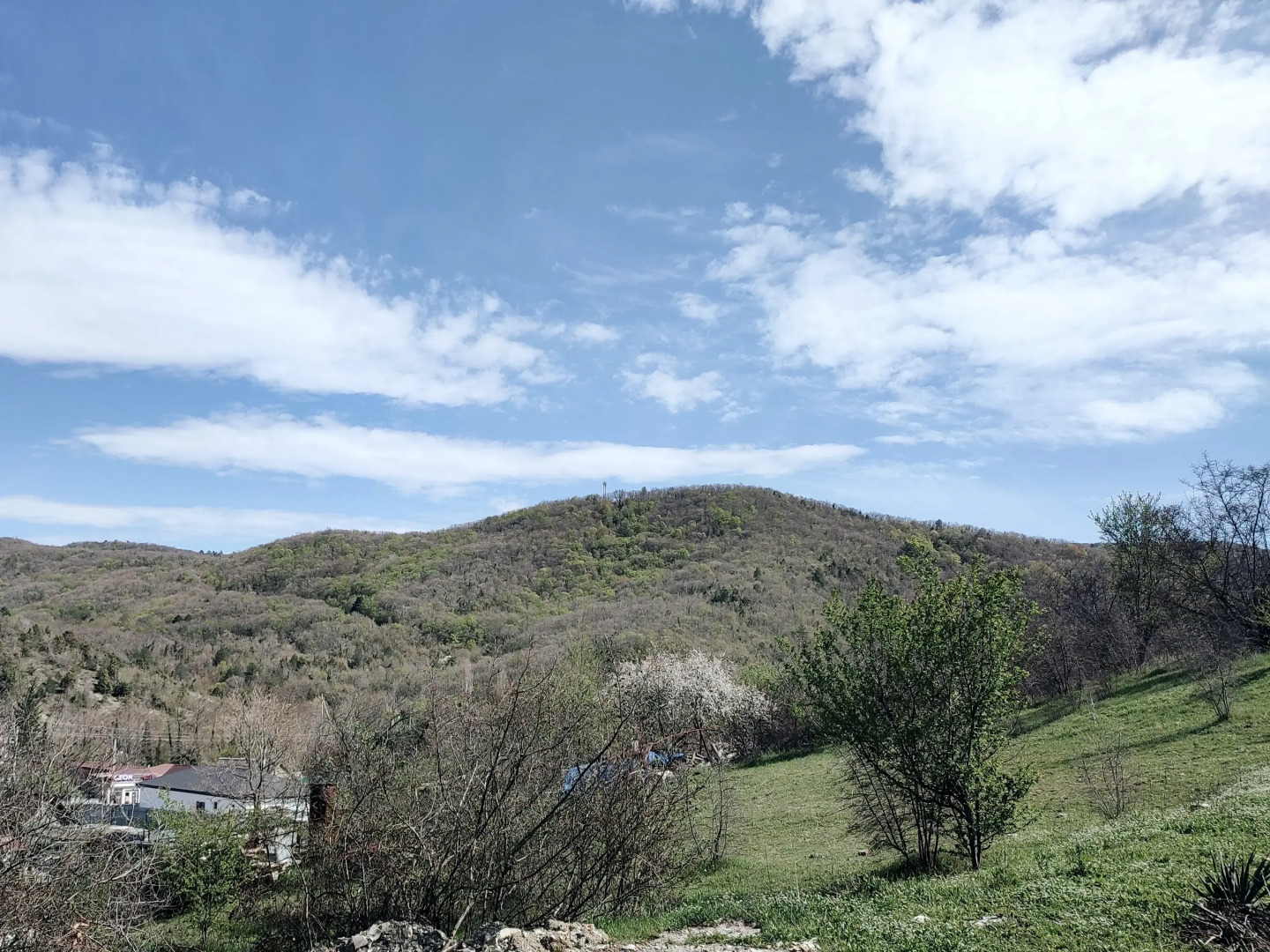 Шале Деревянный дом Прасковья