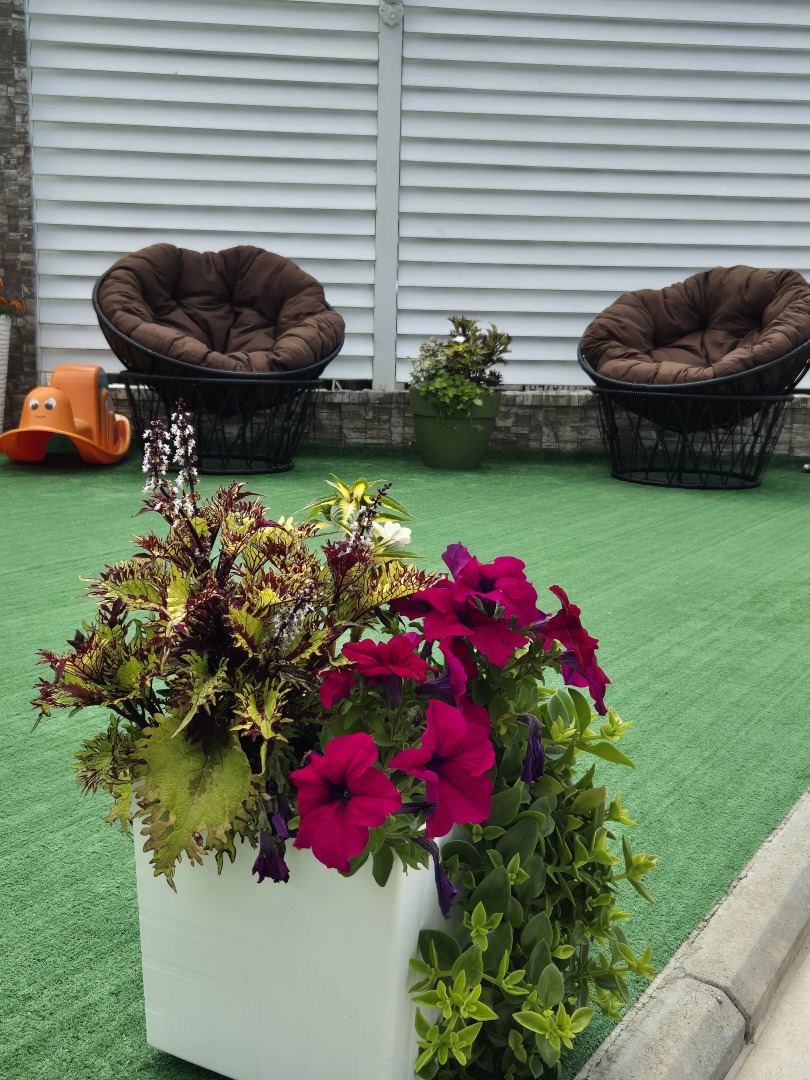 Эмигрант Гостевой Дом