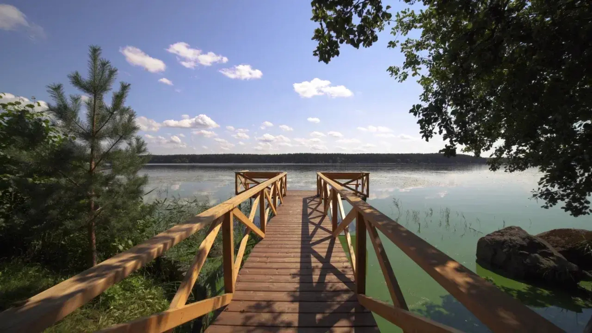 Отель Парк Басовское