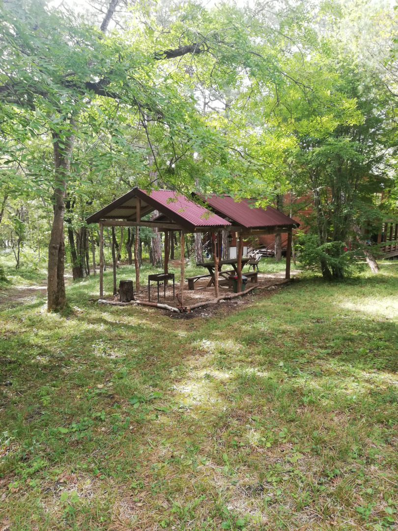 База отдыха Зелёный Бор