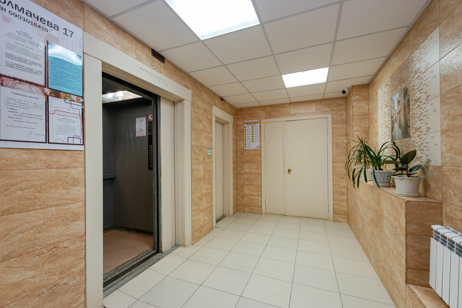 Апартаменты Сладких Снов на Толмачёва 17