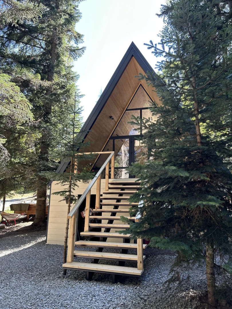 Счастливый лось