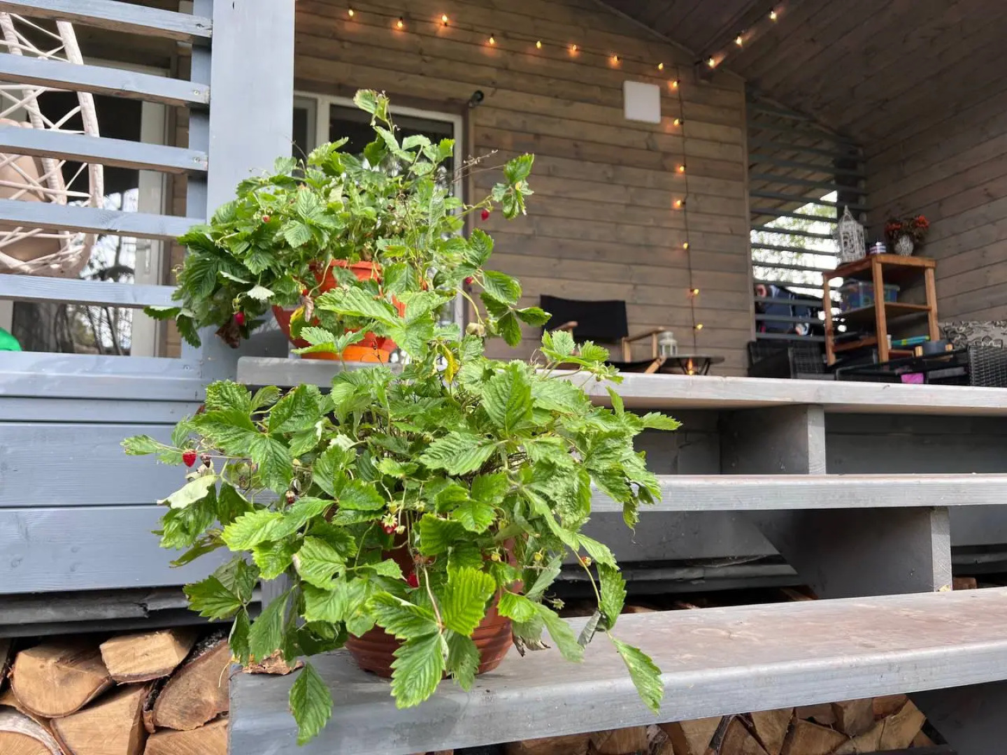 Гостевой дом FrauBu.Camp