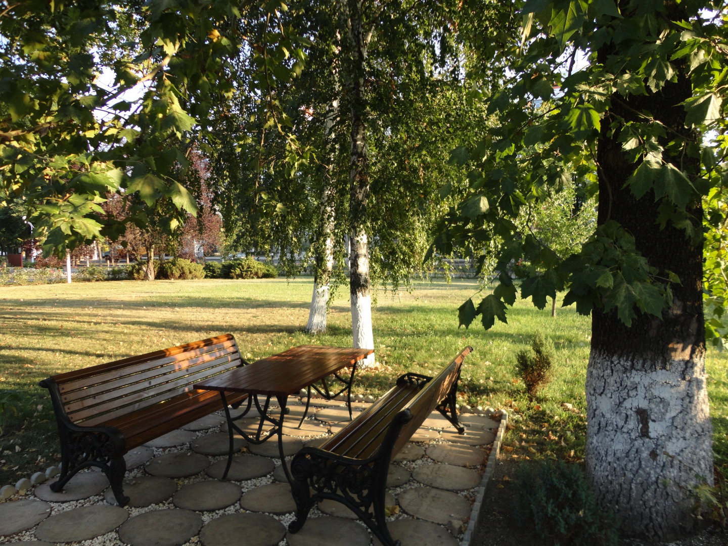 Отель Платан Южный