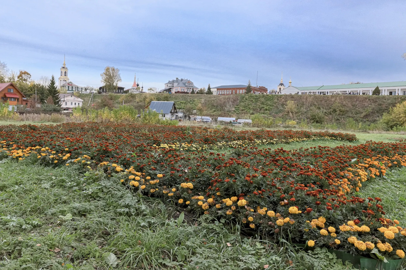 Гостевой Дом Монастырская Изба в Суздале