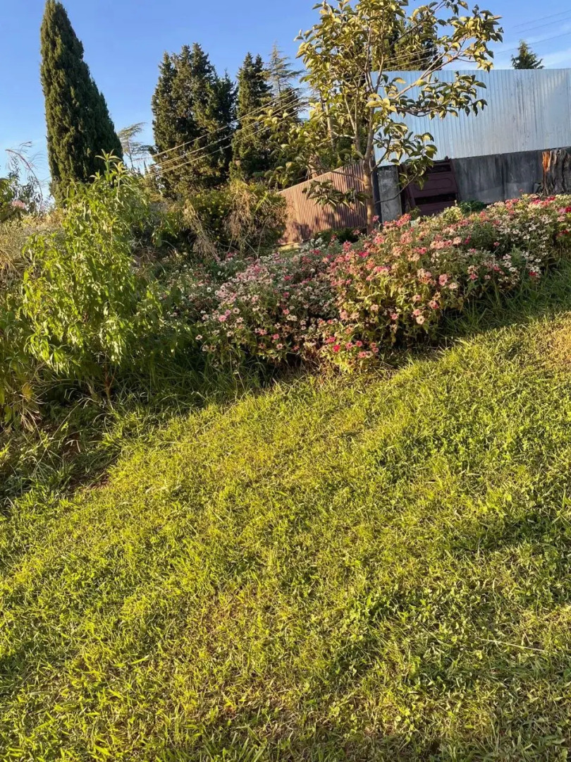 Гостевой дом Абхазская сказка