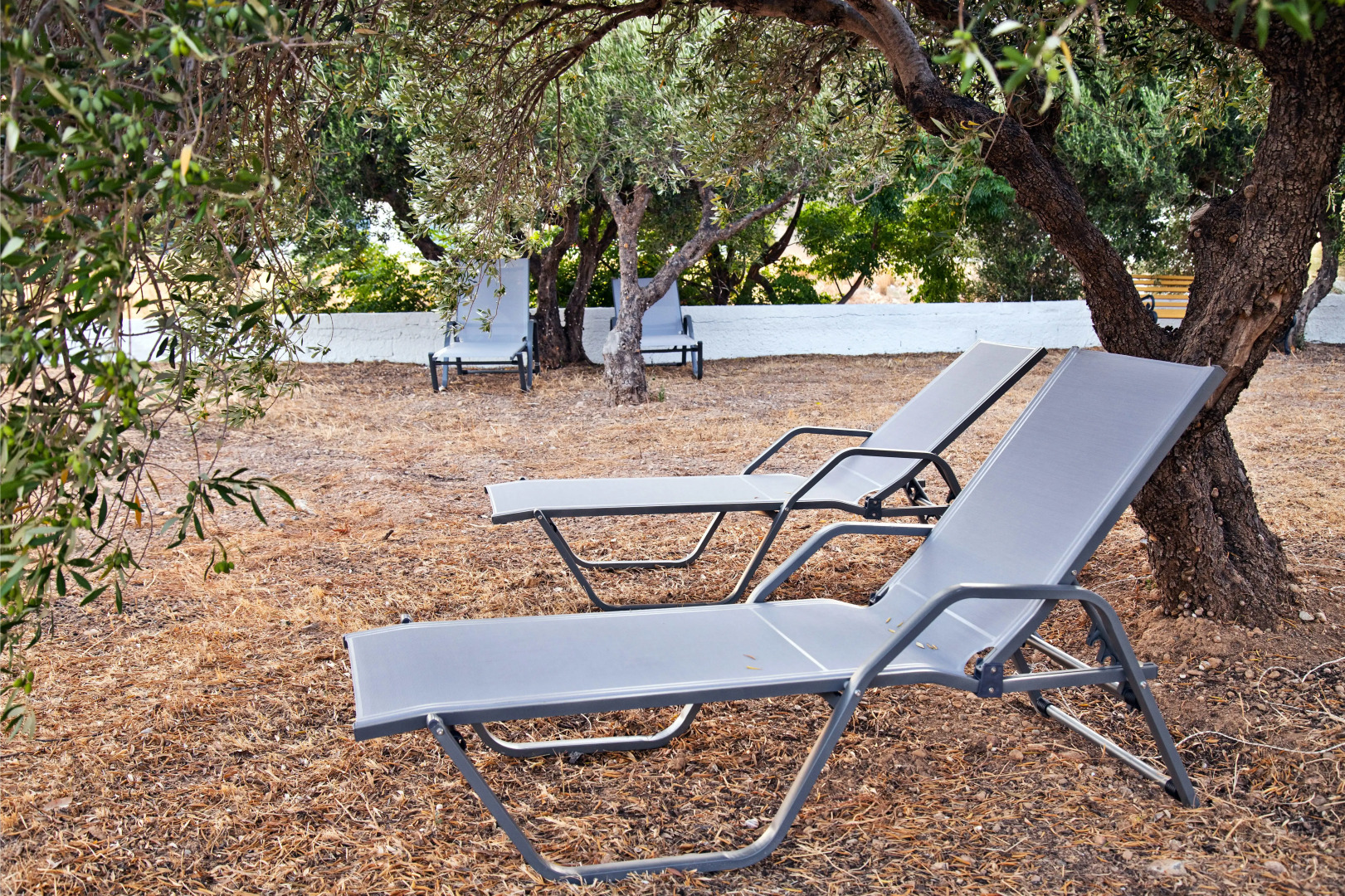 Апарт-Отель New Aurora Apts Studios