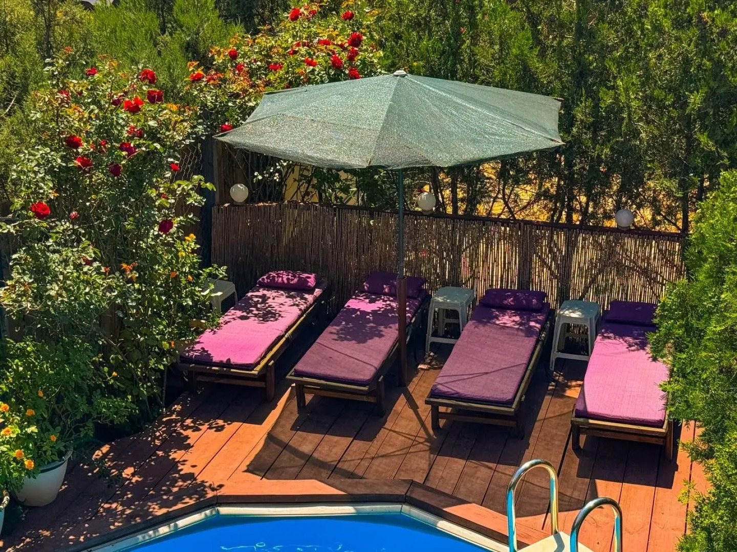 Шале Арт дача Панаехало