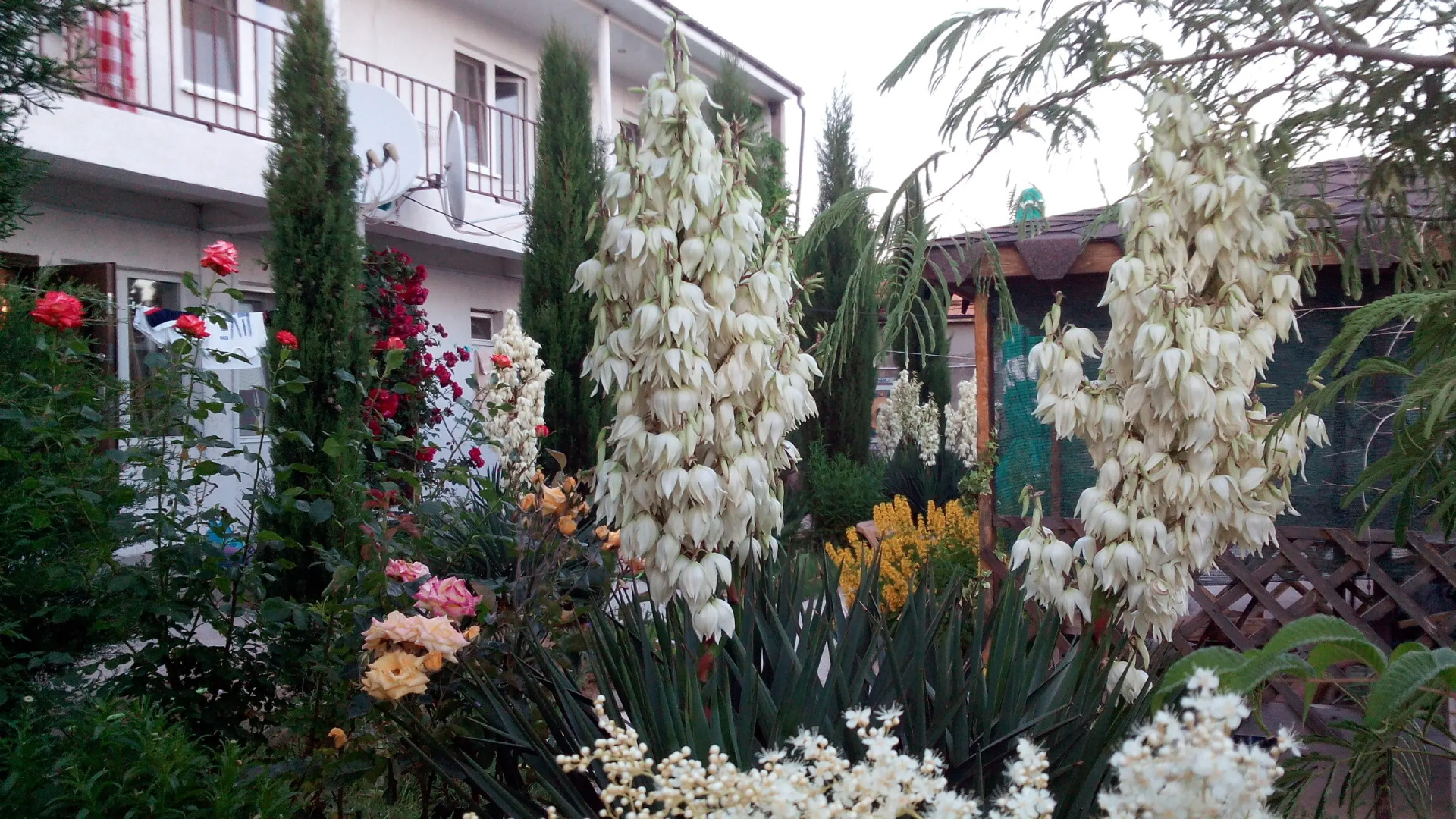 Гостевой Дом Цветок Граната