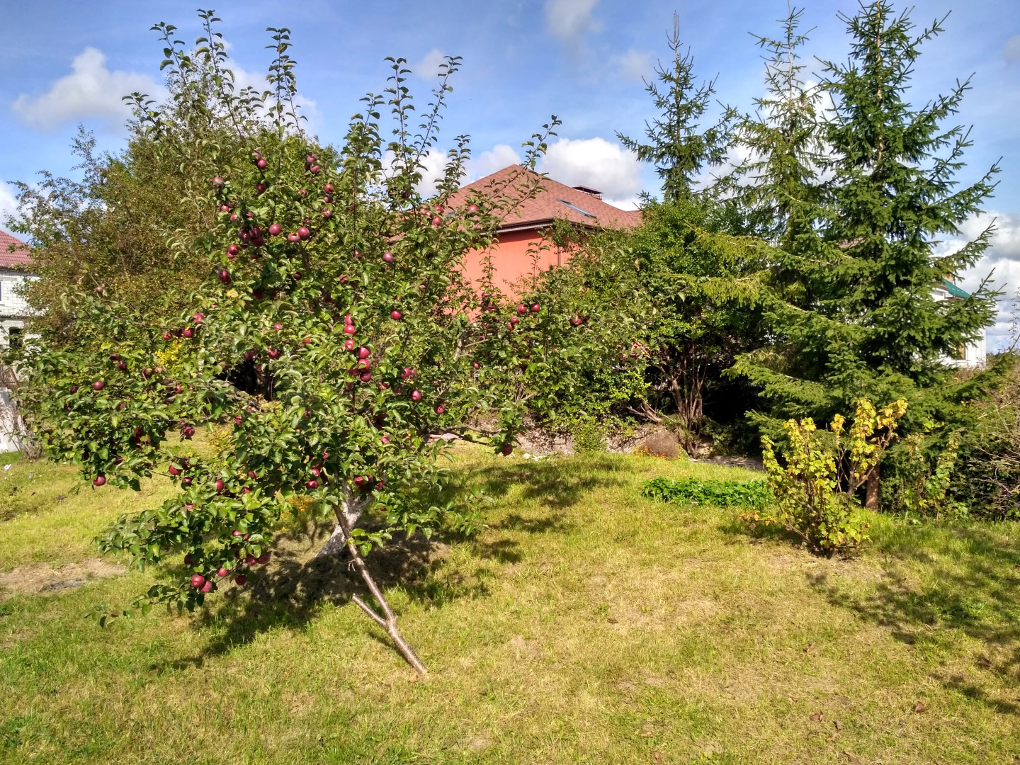 Апартаменты Homestay Vera