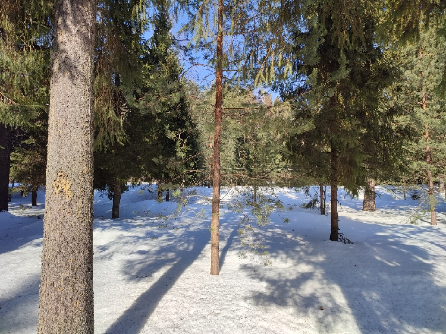 База отдыха Плещеево