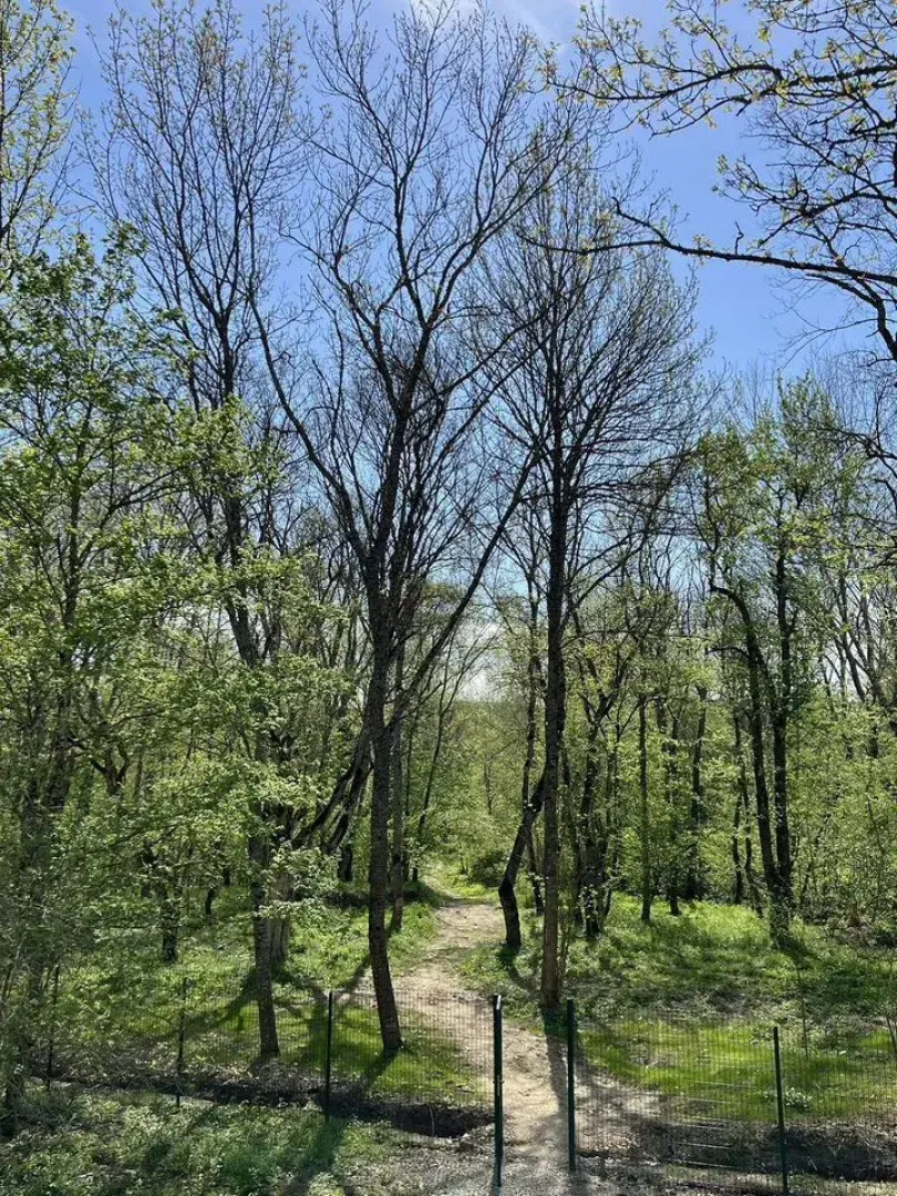 Частный дом Пещера