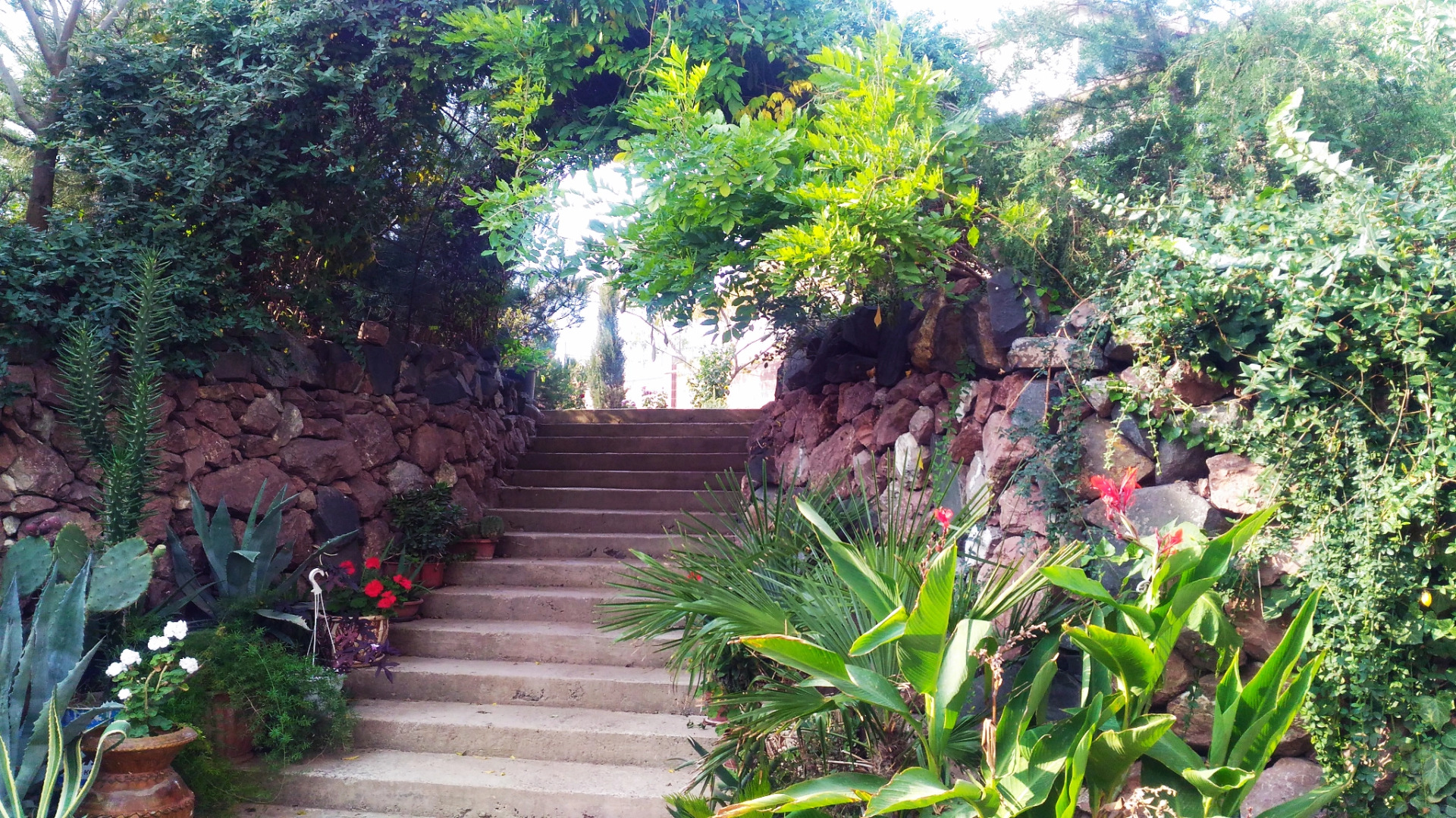 Гостевой Дом Адель Николаевка Крым