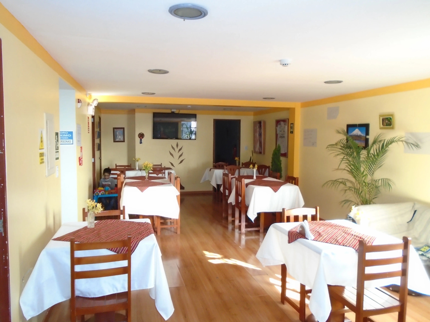 Отель Royal Inca