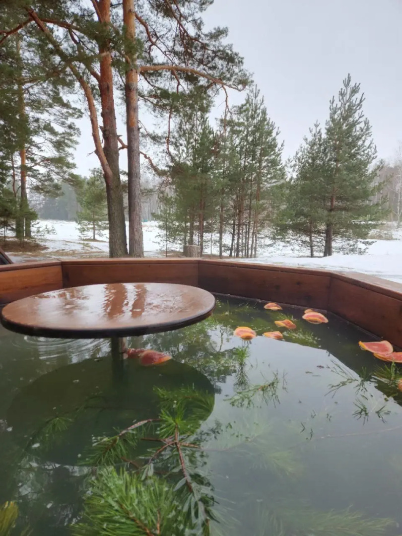 База отдыха Vonavi Village