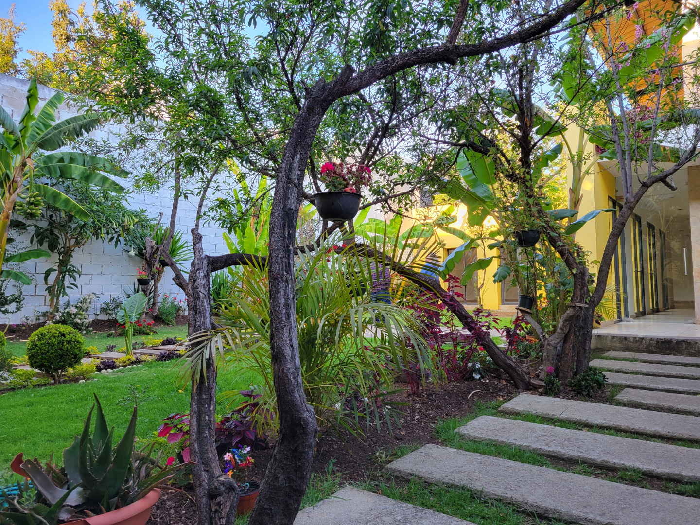 Отель Jardines De Luz