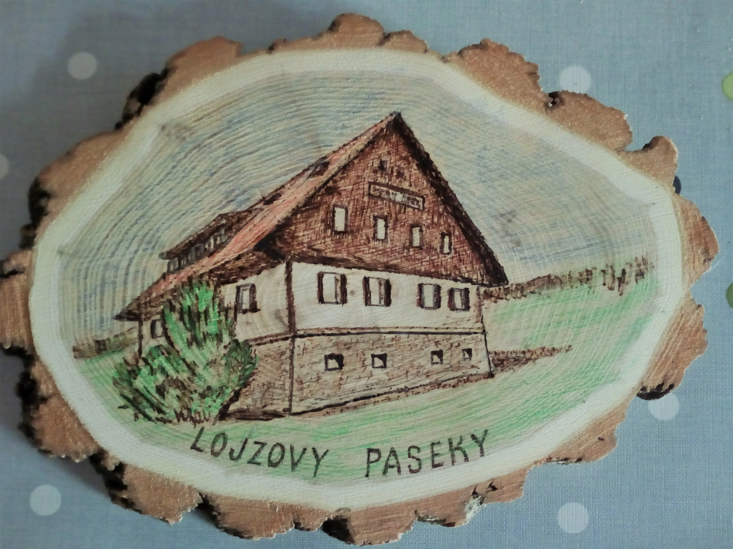 База отдыха Lipno Desta