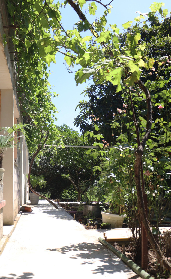 Гостевой дом Citrus Tree