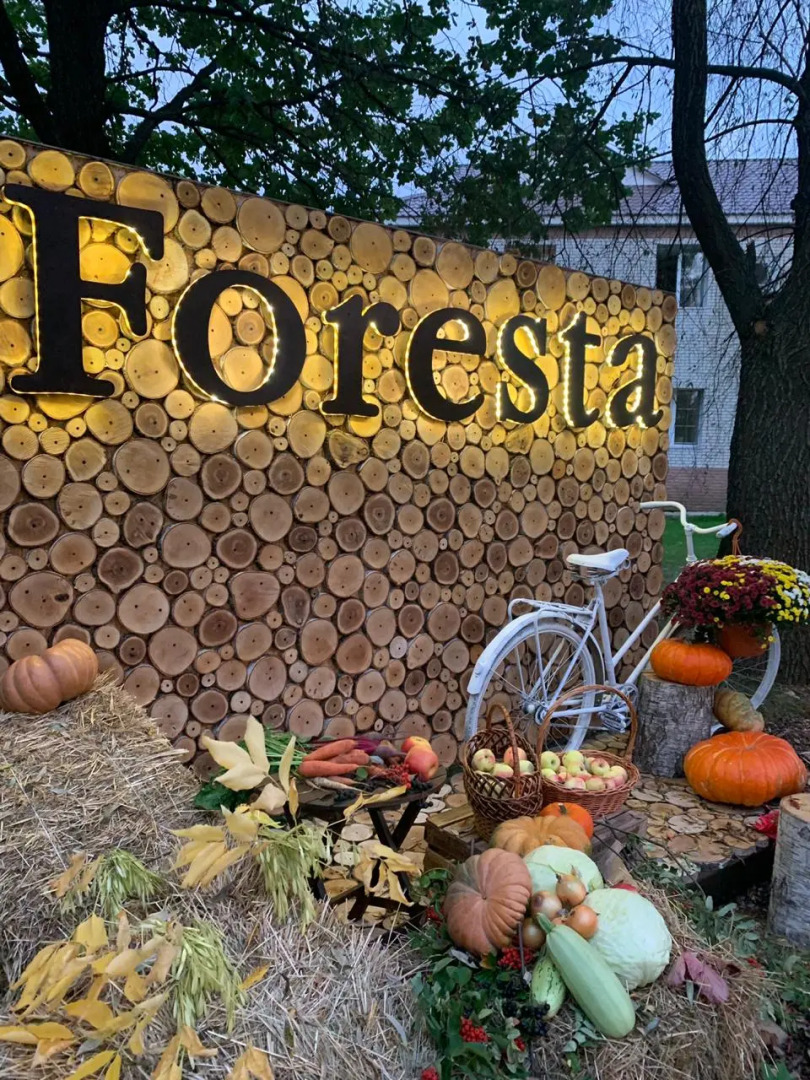 Фореста Фестиваль Парк Отель