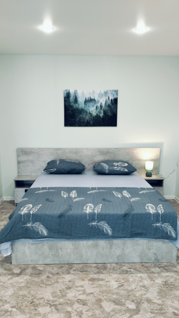 Квартира 1к Володарского 15 Центр