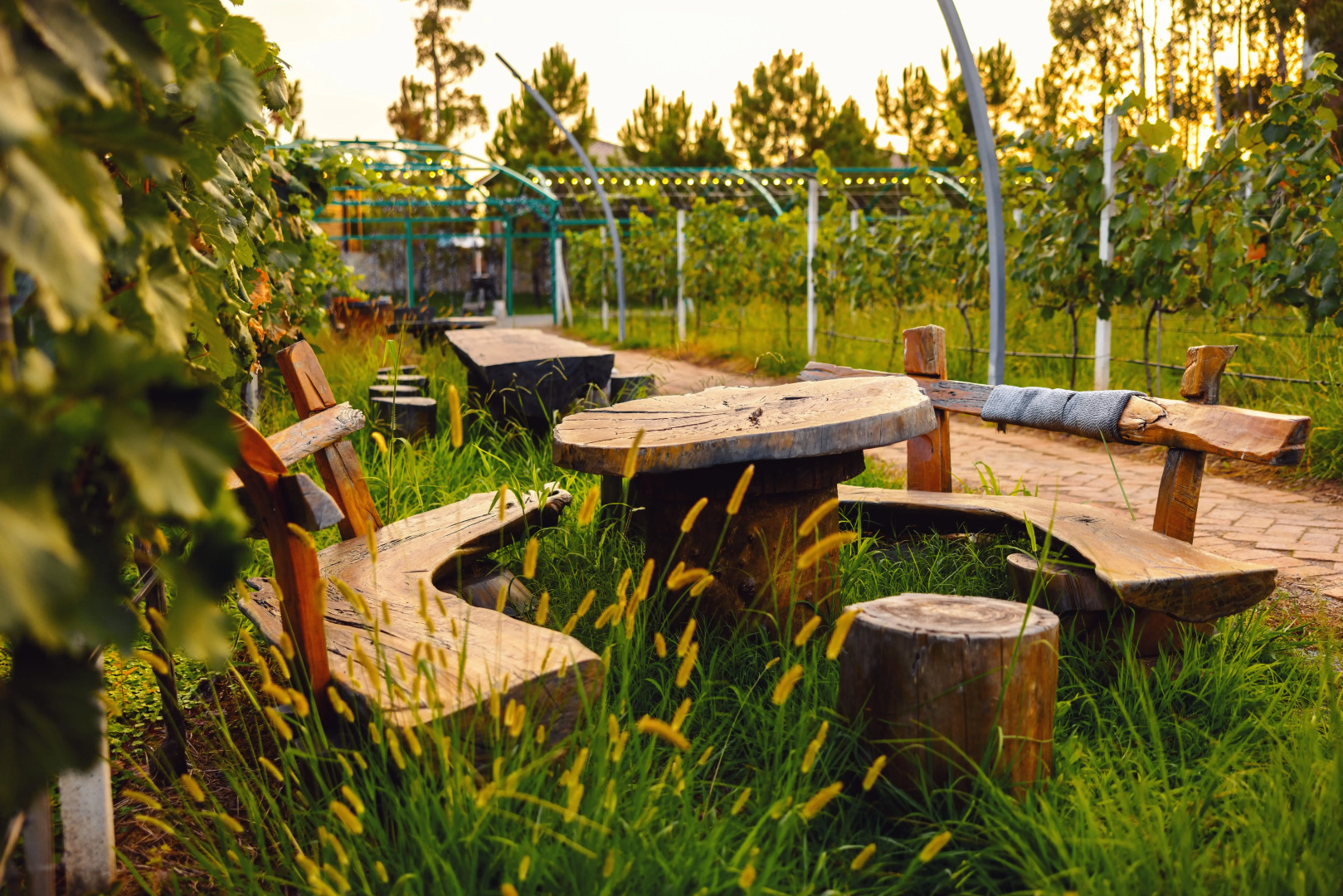 Отель Chateau Kvirike