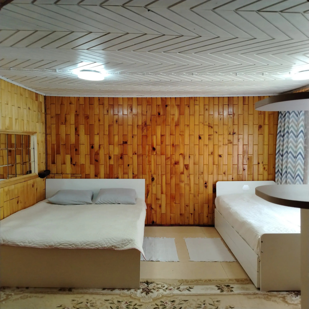 Частный дом Глубинка Алтая