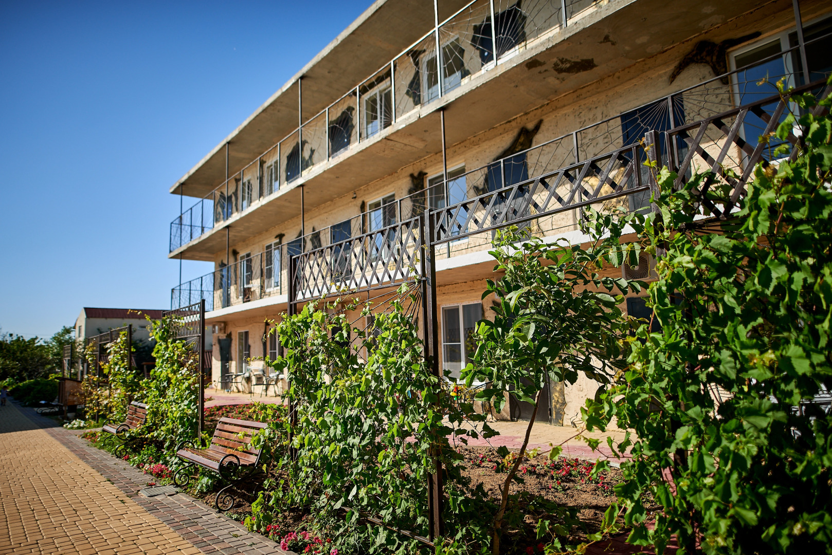 Гостевой дом Черепахи