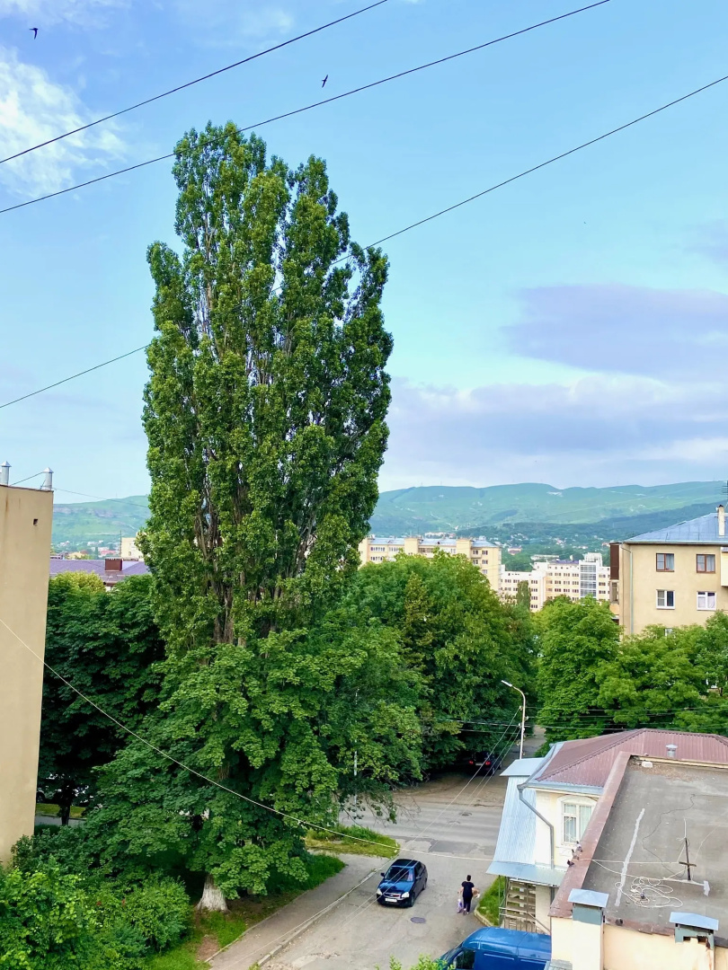 Квартира Уютная квартира на Губина