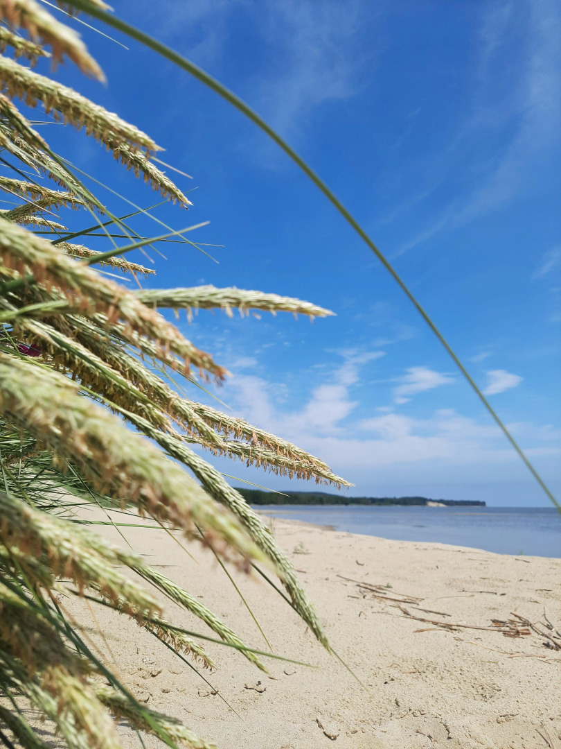 Апартаменты НА ПОБЕРЕЖЬЕ У ОЗЕРА РЯДОМ С МОРЕМ