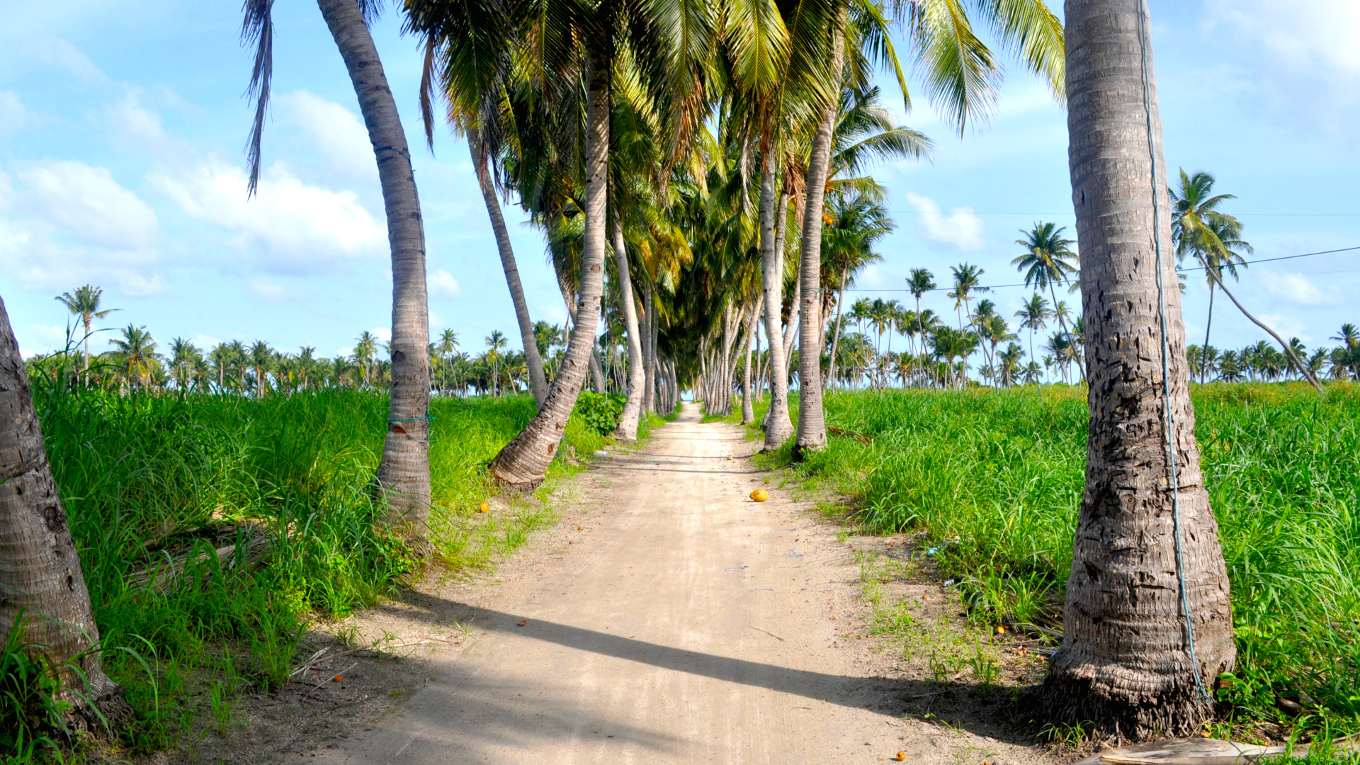 Гостевой Дом Holiday Grand Maldives