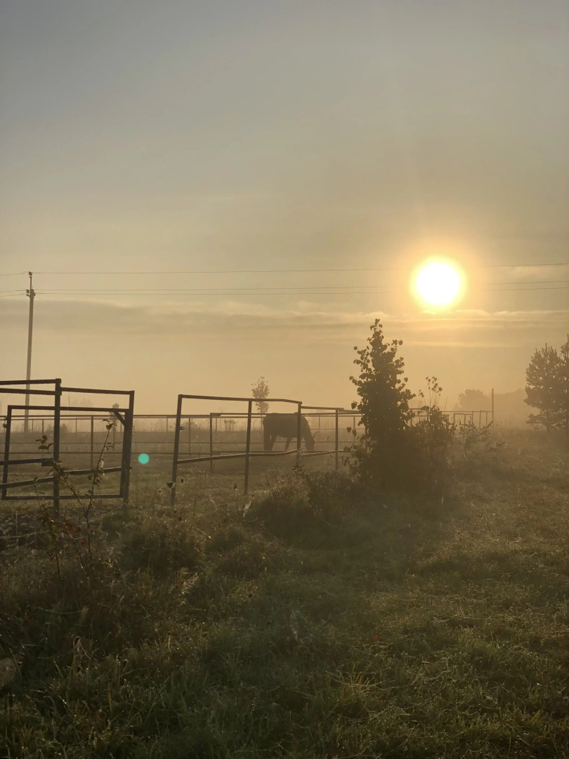 Гостевой дом Первая лошадь