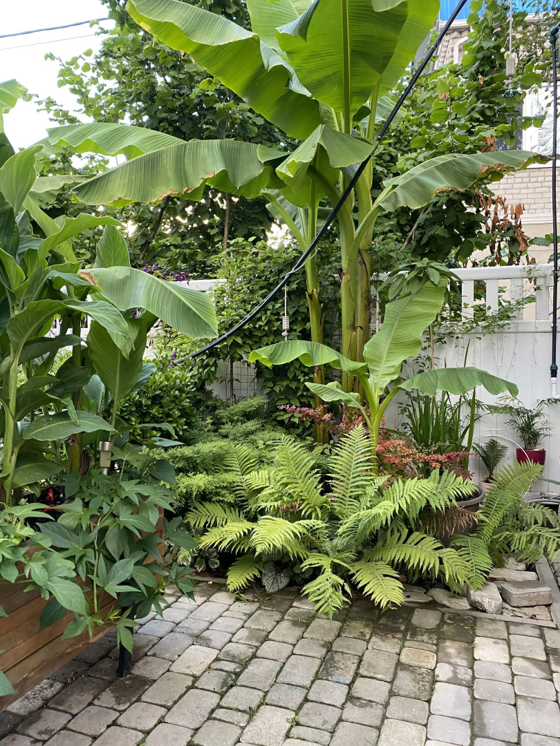 Гостевой дом Каса де ла Луз