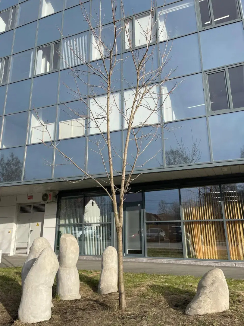 Апартаменты А38 Äänisjärvi Talo(504) в Центре Города