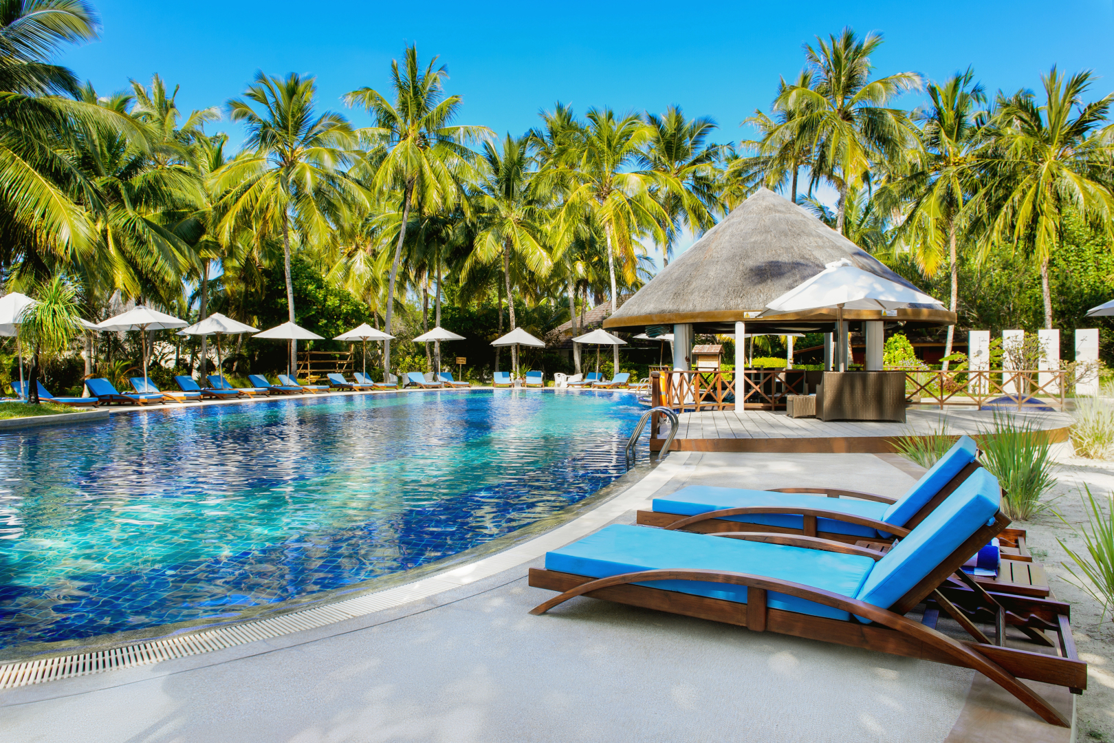 Курортный отель Bandos Maldives