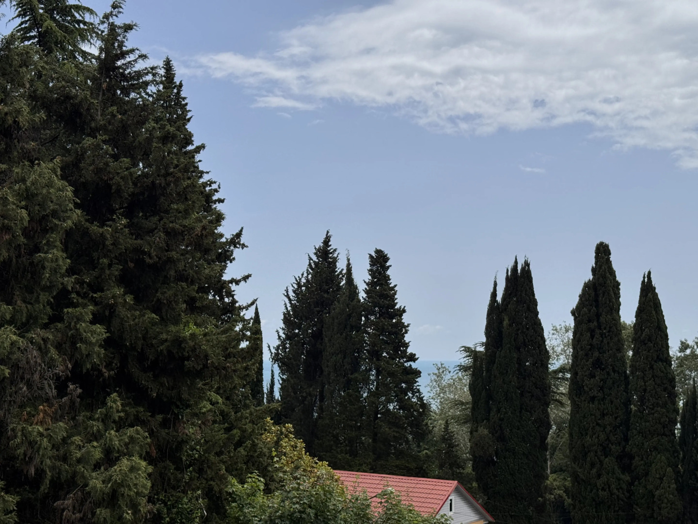 Апартаменты Бристоль-2 с балконом