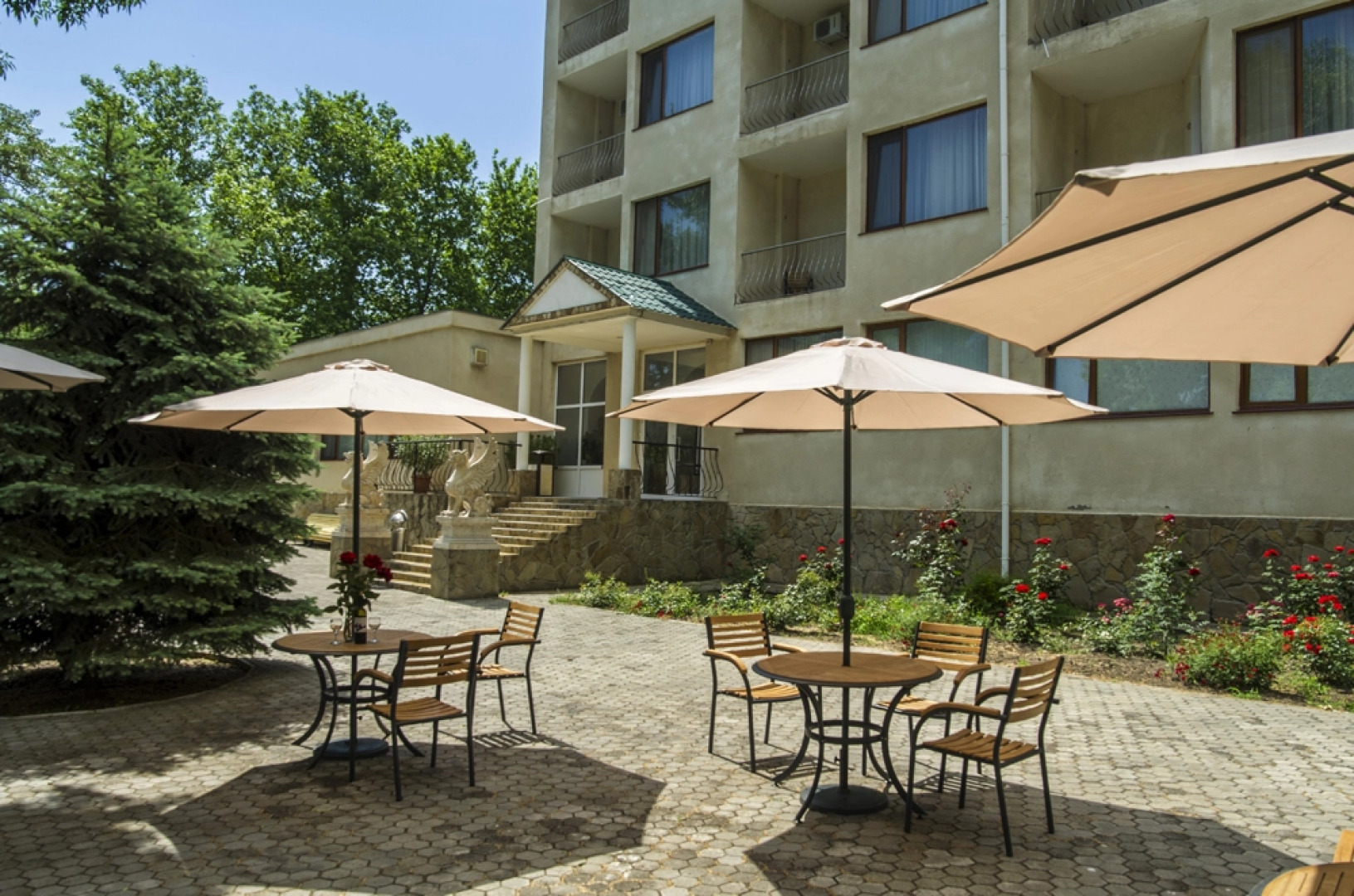 Отель Мечта Тея