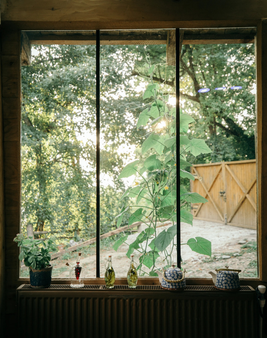 Глэмпинг Wine Space