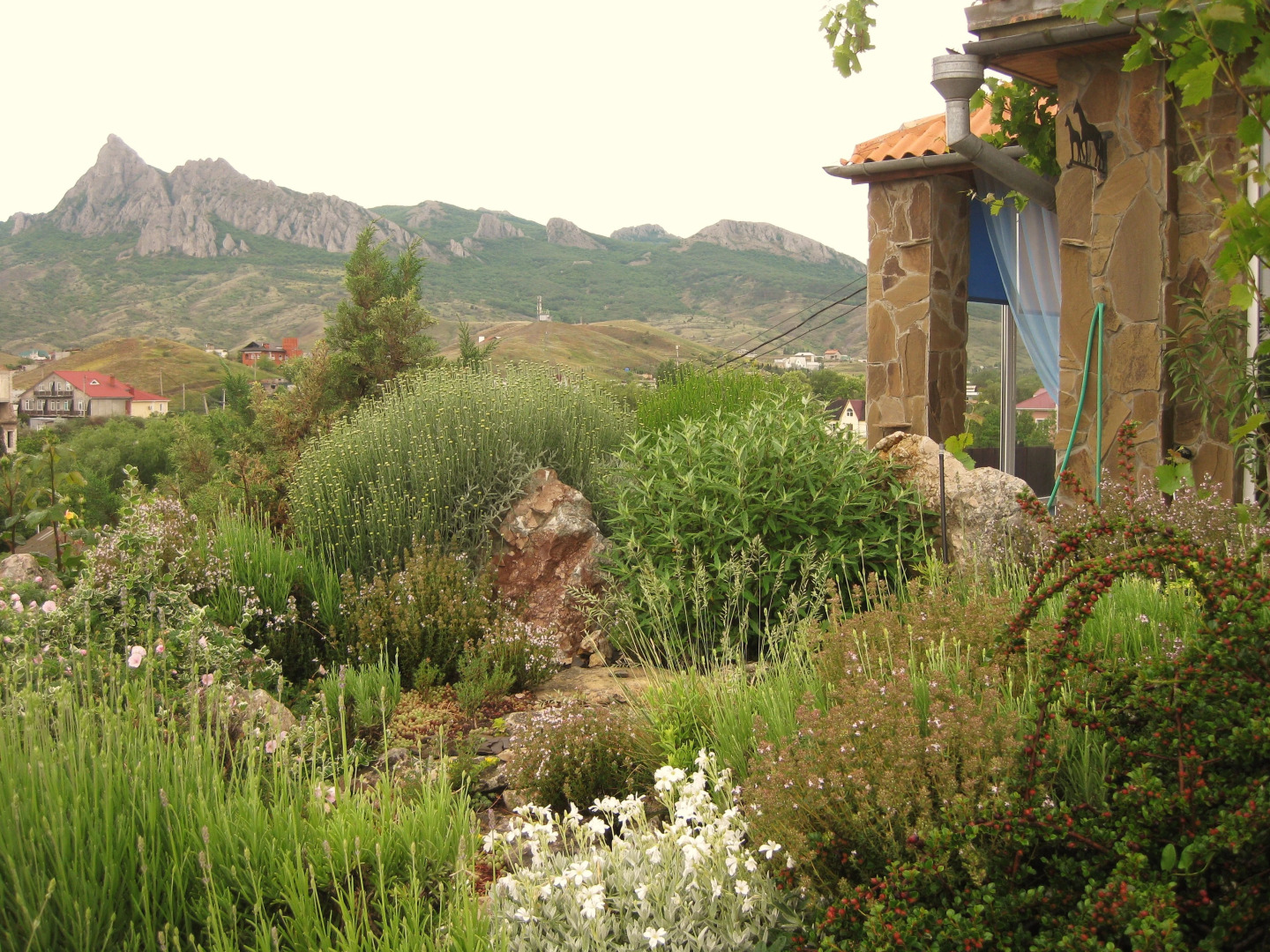 Dom Pod Zvezdopadom Guest House