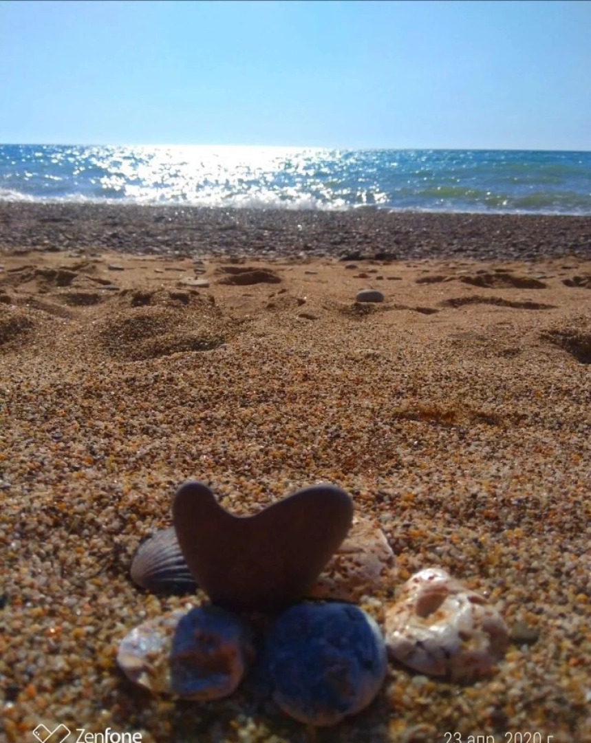 Апартаменты Наш Парус 1