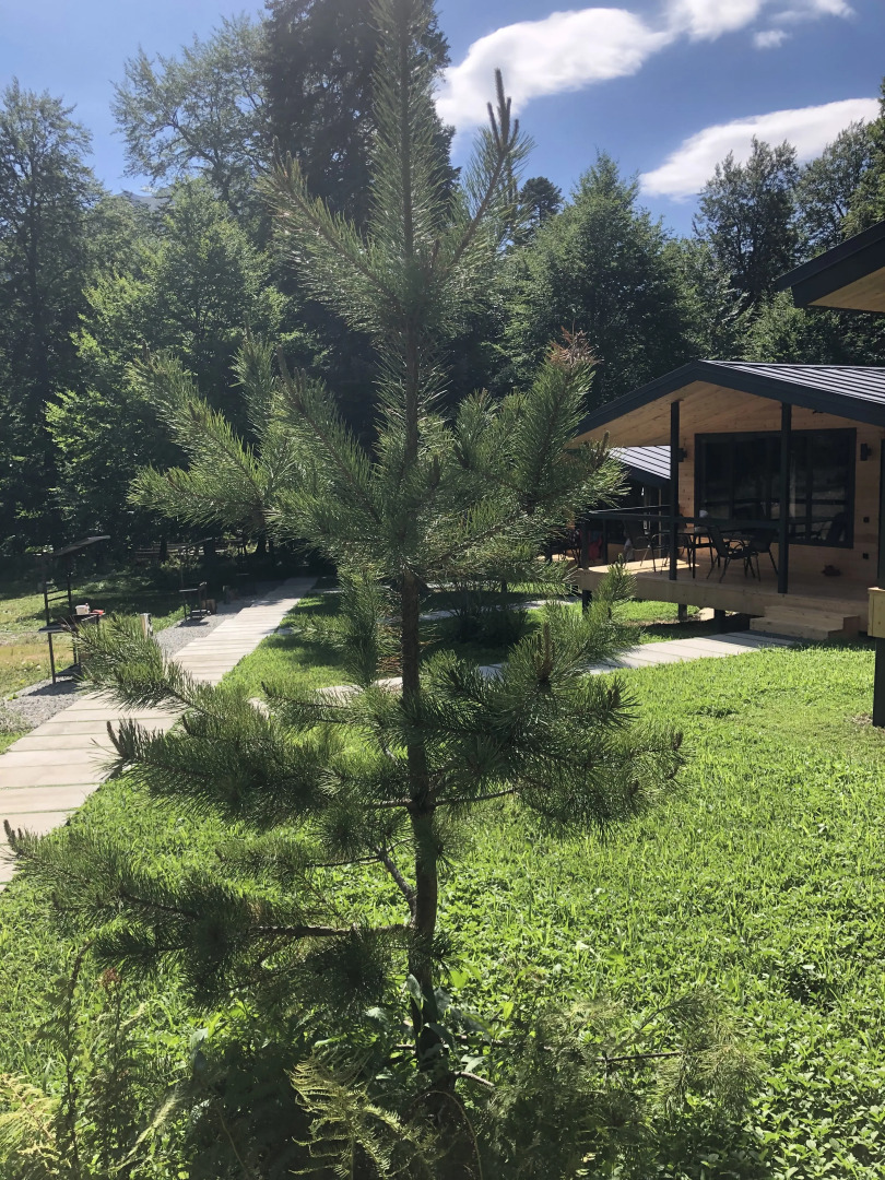 База отдыха Зима Лето