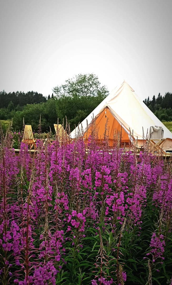 Глэмпинг Хутор ЛихKoff