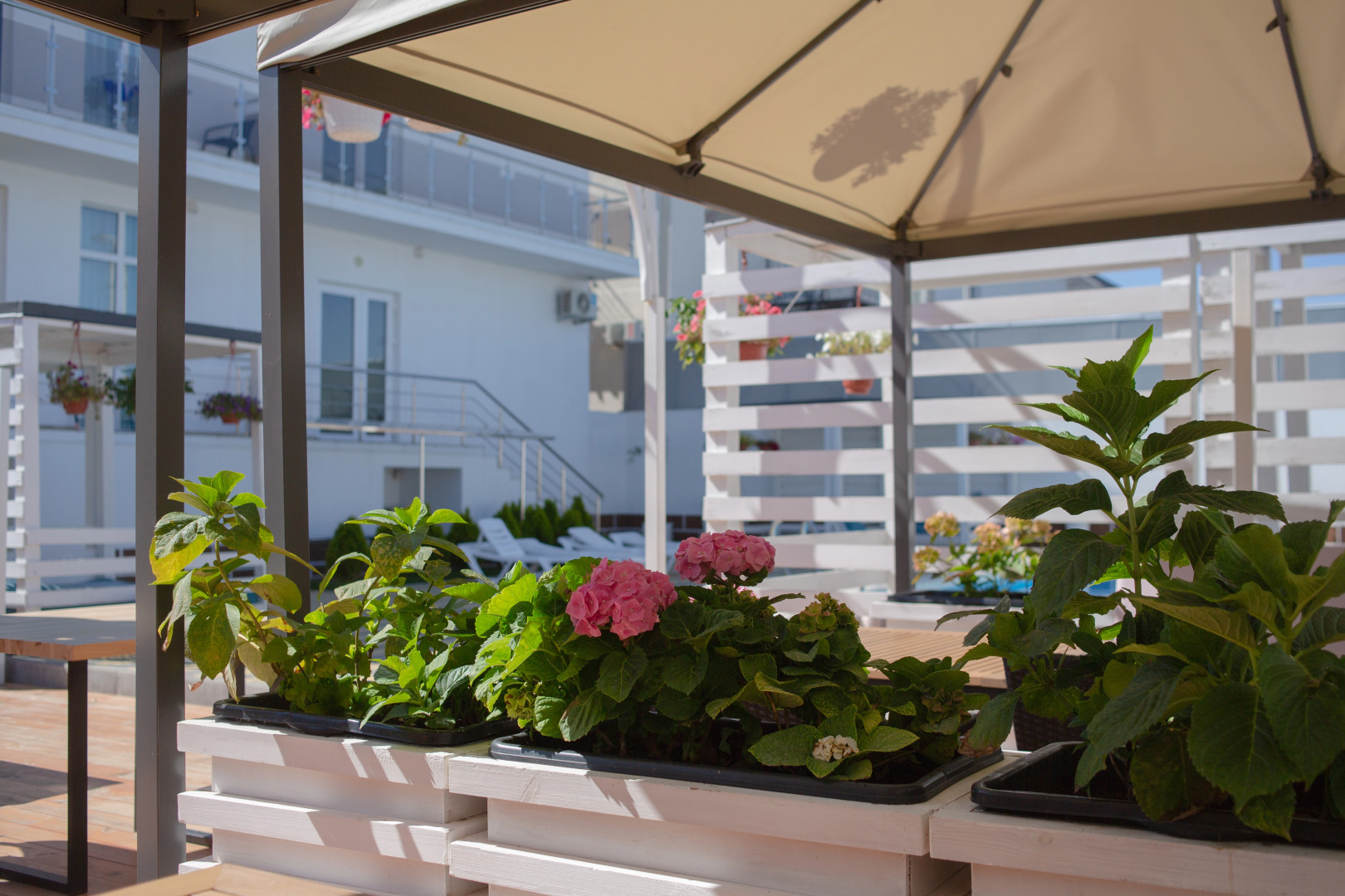 Отель Морская Ракушка