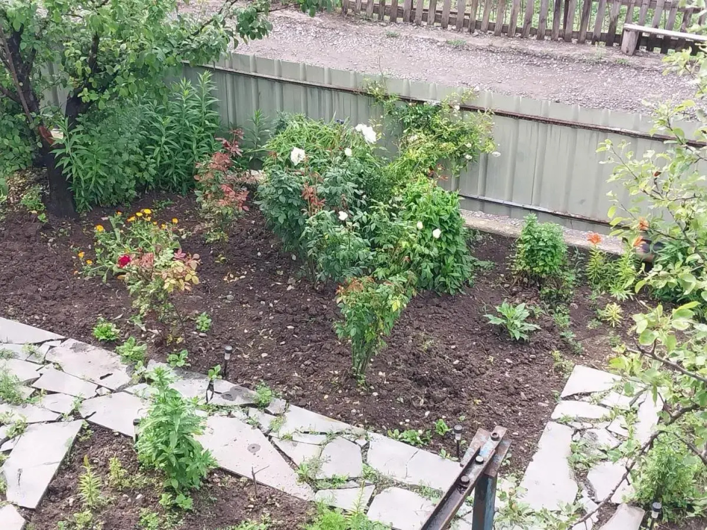 Гостевой дом Gala Guesthouse