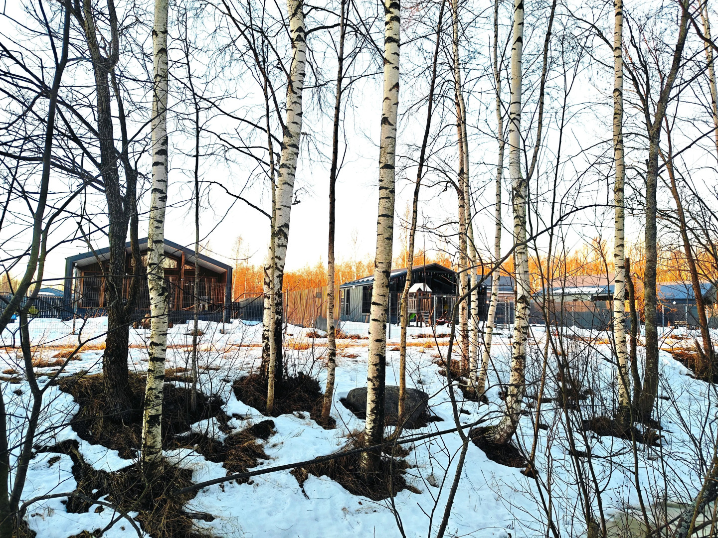 Частный дом Рядом Лес