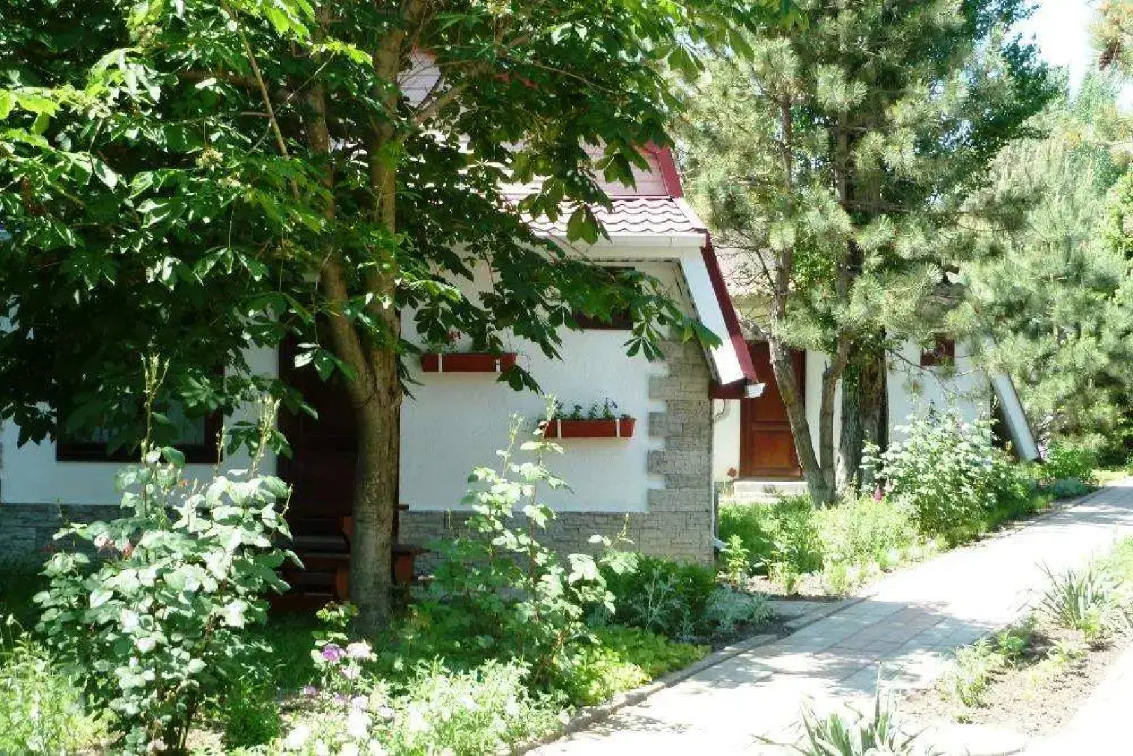 База отдыха Динамо 2