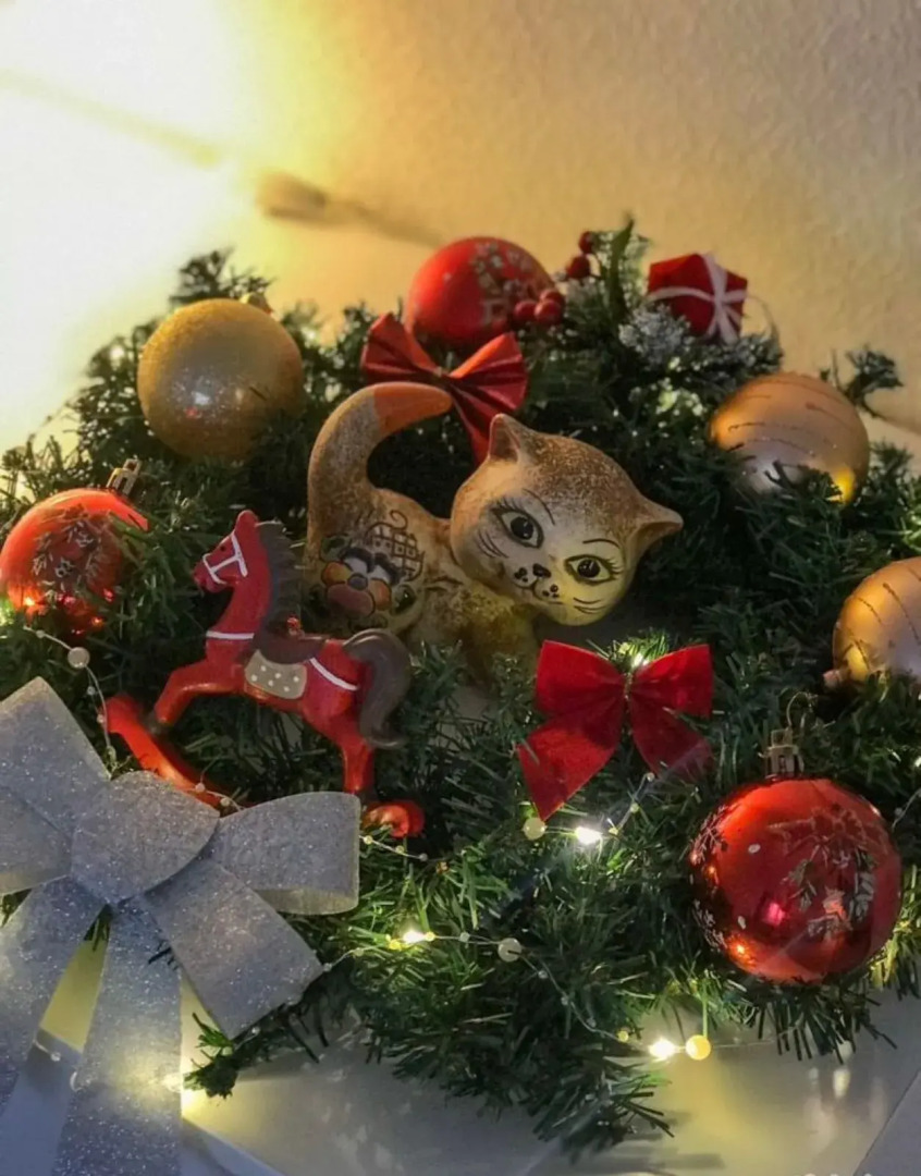 Квартира с прекрасным видом на реку Волхов