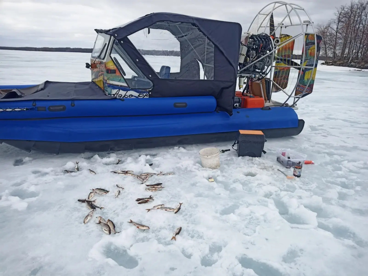 Частный дом на Онежской 4